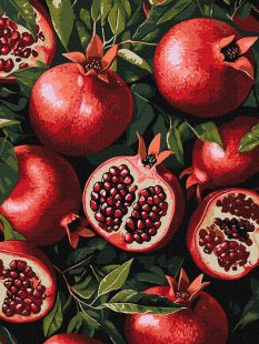 Malen nach Zahlen - Granatapfel im Ausschnitt ©art_selena_ua