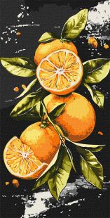 Malen nach Zahlen - Saftige Orangen ©art_selena_ua