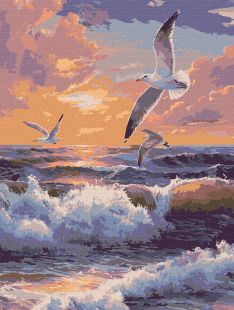 Malen nach Zahlen - Über den Wellen fliegen ©art_selena_ua