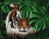 Malen nach Zahlen - Amur-Tiger ©khutorna_art