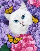 Painting by numbers - Snow white kitten ©Kira Corporal