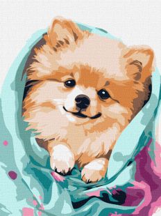 Malen nach Zahlen - Glücklicher Spitz ©art_selena_ua