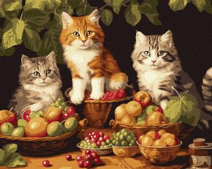 Malen nach Zahlen - Katzen und Obst ©art_selena_ua