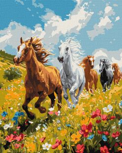 Malen nach Zahlen - Harmonie auf dem Feld ©art_selena_ua