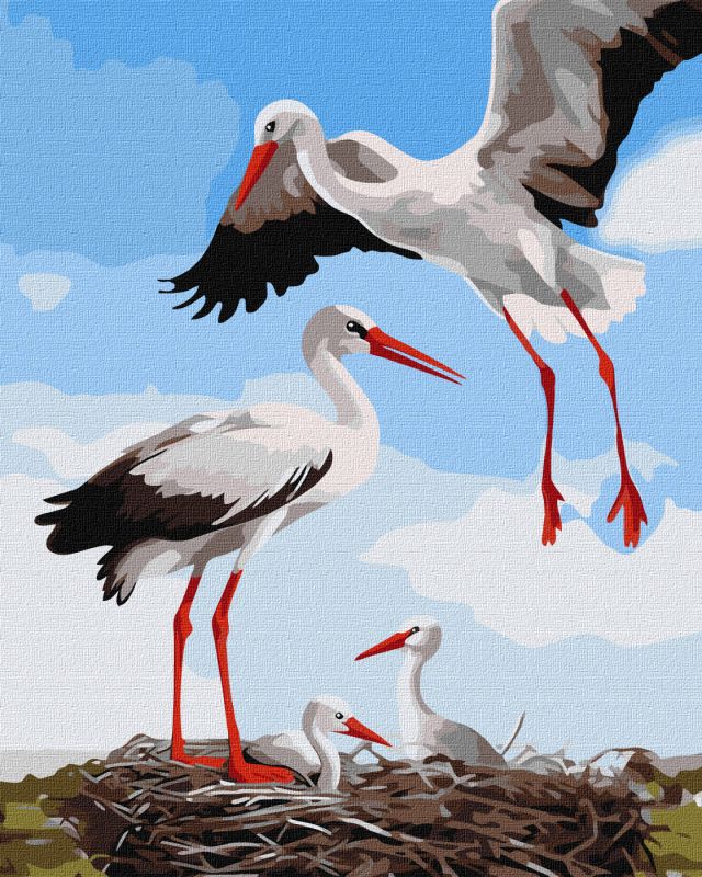 Malen nach Zahlen - Eine Familie von Störchen ©art_selena_ua