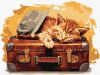 Painting by numbers - Ready to travel ©art_selena_ua