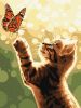 Painting by numbers - A cat and a butterfly ©art_selena_ua