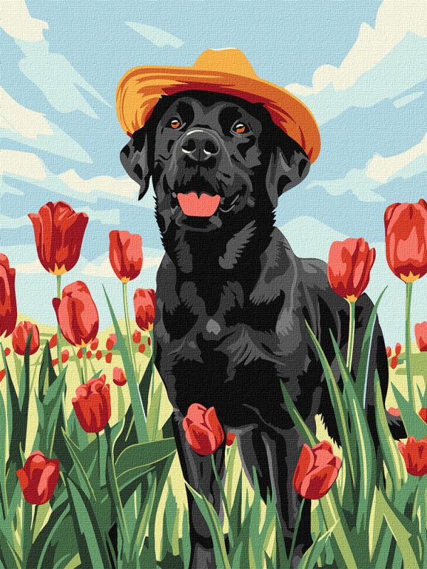 Malen nach Zahlen -  Charmanter Labrador ©art_selena_ua