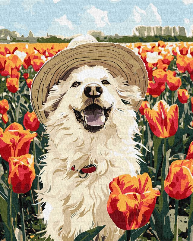 Malen nach Zahlen - Ein glücklicher Labrador ©art_selena_ua