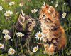 Painting by numbers - Cats in flowers ©art_selena_ua
