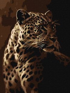 Malen nach Zahlen - Der Blick des Leoparden ©art_selena_ua