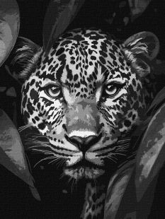 Malen nach Zahlen - Leopard auf der Jagd ©art_selena_ua