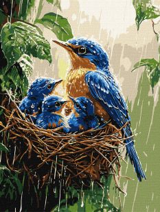 Malen nach Zahlen - Frühlingsregen ©art_selena_ua