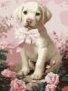 Malen nach Zahlen - Flauschiges Geschenk ©art_selena_ua
