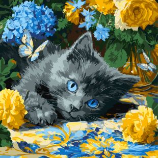 Malen nach Zahlen - Blauäugiger Mäher ©art_selena_ua