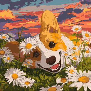 Malen nach Zahlen - Corgi in Gänseblümchen ©art_selena_ua