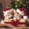 Malen nach Zahlen - Flauschige Geschenke ©art_selena_ua