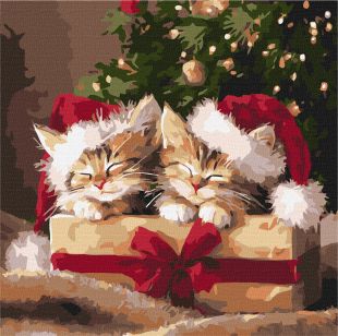 Malen nach Zahlen - Flauschige Geschenke ©art_selena_ua