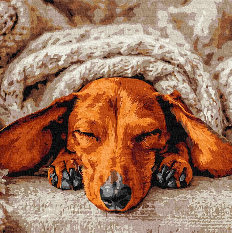 Malen nach Zahlen - Süße Stille ©art_selena_ua