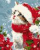 Malen nach Zahlen - Katze im Schnee ©art_selena_ua