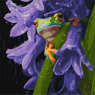 Malen nach Zahlen - Frosch im Regen ©art_selena_ua