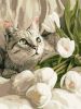 Malen nach Zahlen - Grünäugige Katze mit Tulpen ©art_selena_ua