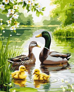 Malen nach Zahlen - Entenfamilie im Morgengrauen ©art_selena_ua
