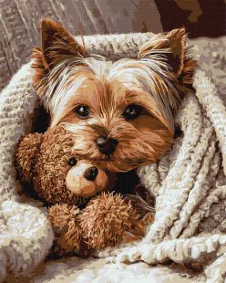 Malen nach Zahlen - Yorkshire Terrier mit Teddybär ©art_selena_ua