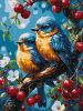 Malen nach Zahlen - Gelbe und blaue Vögel ©art_selena_ua