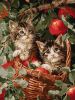 Malen nach Zahlen - Katzen im Korb ©art_selena_ua