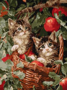 Malen nach Zahlen - Katzen im Korb ©art_selena_ua