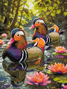 Malen nach Zahlen - Enten zwischen Seerosen ©art_selena_ua