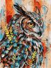 Malen nach Zahlen - Ausdrucksstarke Eule ©art_selena_ua