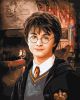 Malen nach Zahlen - Harry Potter: Gryffindor-Gemeinschaftsraum ©Warner Bros.