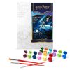Malen nach Zahlen - Harry Potter: Flug mit dem Auto mit metallischen Farben ©Warner Bros.