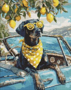 Diamond Painting - Zitronenhund mit Brille ©art_selena_ua