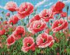 Diamond Painting - Rosa Mohnblumen ©art_selena_ua
