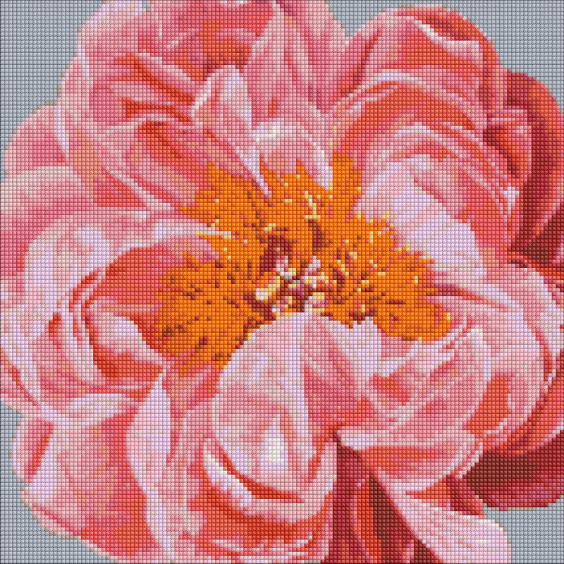 Diamond Painting - Rosenkuss ©Ira Volkova