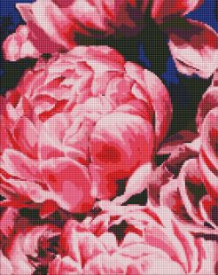 Diamond Painting - Samtige Pfingstrosen