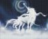 Diamond Painting - Weißes Einhorn