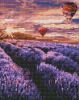 Diamond Painting - Blühender Lavendel in der Provence