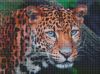 Diamond Painting - Wilder Look