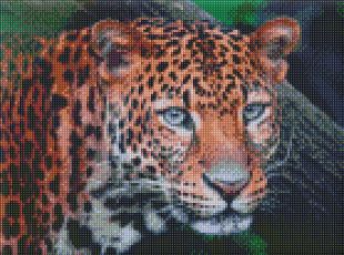 Diamond Painting - Wilder Look
