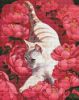 Diamond Painting - Katze in Pfingstrosen ©Kira Corporal