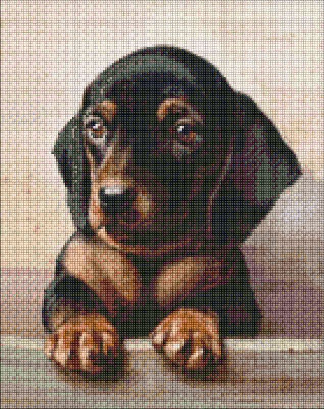Diamond Painting - Andächtiger Blick ©Carl Reichert
