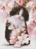 Diamond mosaic - Fluffy kitten