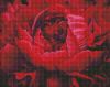 Diamond Painting - Exquisite Blume