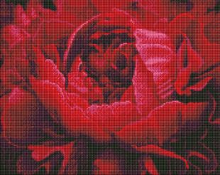 Diamond Painting - Exquisite Blume