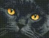 Diamond Painting - Bernsteinfarbene Augen