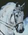 Diamond mosaic - A proud horse